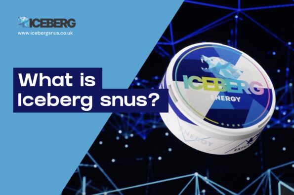 What is Icebreg Snus